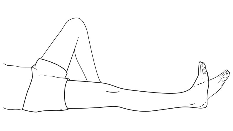 Ankle bend (plantar/dorsiflexion)