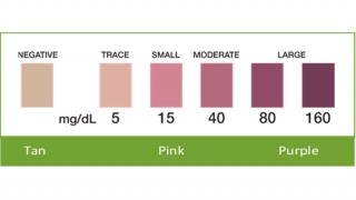 Ketone Strip