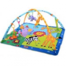 Developmental: Toys and Equipment for Your Baby - Playmat