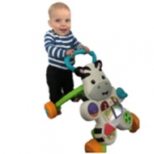 Developmental: Toys and Equipment for Your Baby - Push toys
