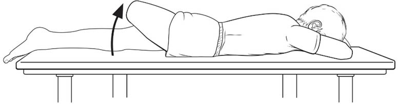 Strengthening: Above Knee Amputee Exercise Program - Prone hip extension