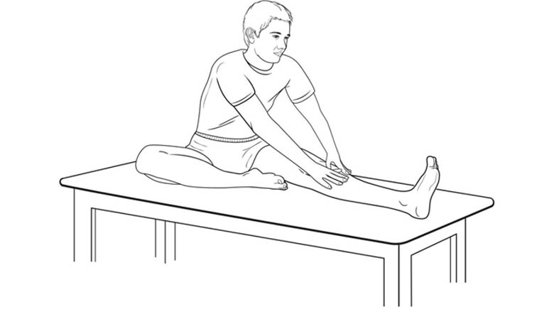 Seated hamstring stretch