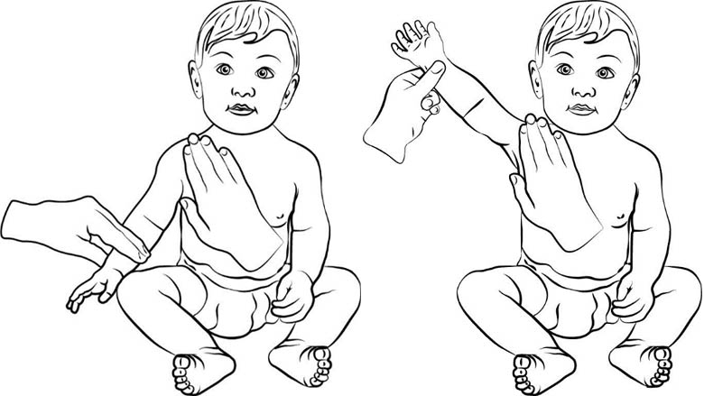 Shoulder flexion