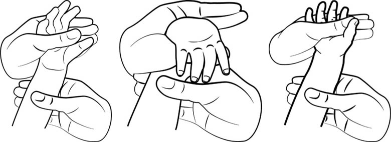 Wrist bend and straighten (flexion and extension)
