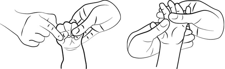 Finger bend and straighten (flexion and extension)