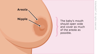 KidsHealth Image