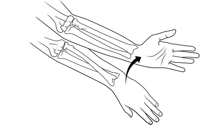 Supination stretch